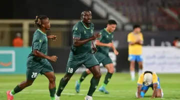 مرحلة الهبوط.. قائمة الاتحاد السكندري ووادي دجلة بالدوري